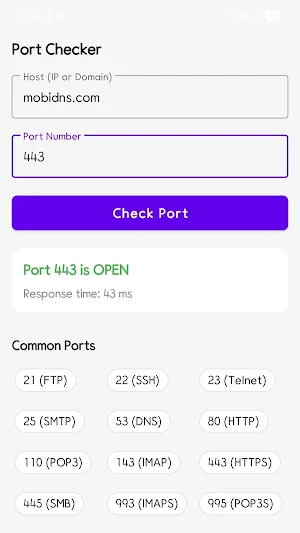 MobiDNS Screenshot 2