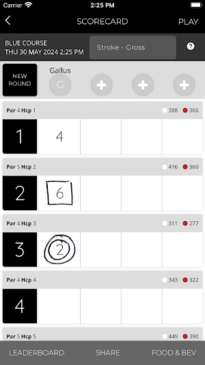 Hell's Kitchen Pickleball Screenshot 3