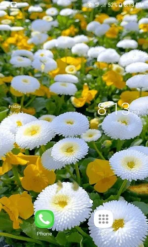 White Flowers Butterfly LWP Screenshot 1