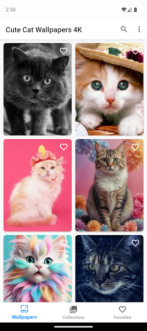 Cute Kittens Wallpapers 4K Screenshot 0