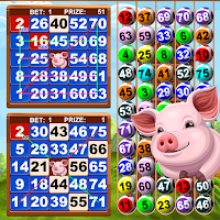 Video Bingo Little Farm 2