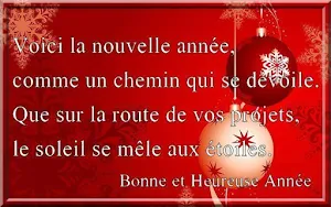 Bonne année 2021 Screenshot 3
