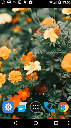 buttercup wallpaper Screenshot 1