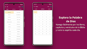 Bible Reina Valera RVC + Audio Screenshot 2
