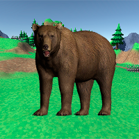 Bear simulator