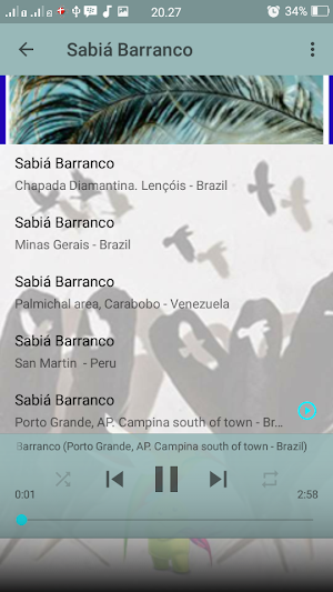 Canto Fêmea de Sabiá Barranco Screenshot 1