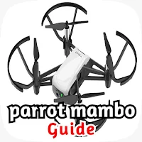 parrot mambo guide
