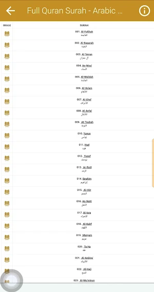 Muhammad Ayoub Quran Offline Screenshot 3