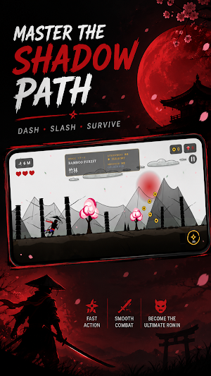 Shadow Ronin: Ninja Assassin Screenshot 2