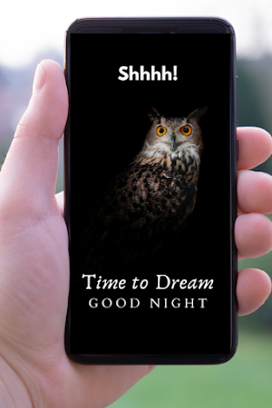 Good Night Quotes 2020 Screenshot 0