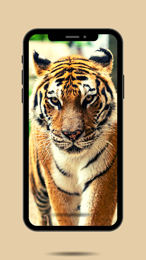 Tiger Ringtone Screenshot 0