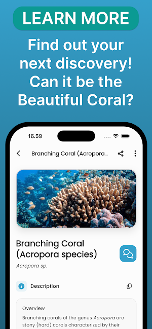 Fish Pic: AI Fish Identifier Screenshot 3