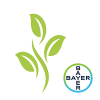 CultiBayer