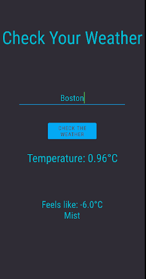 Check Your Weather Screenshot 2