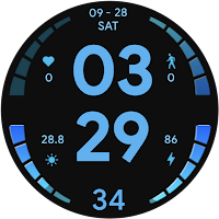 Dazzling Color- for wear os 5