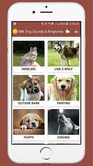 Dog Sounds Ringtones Screenshot 1