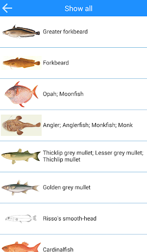 MadeiraFish Screenshot 0