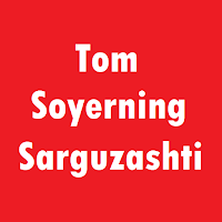 Tom Soyerning Sarguzashtlari