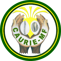 CAURIE CASH