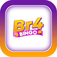 Br4Bingo