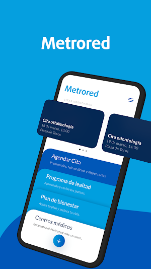Metrored Screenshot 0