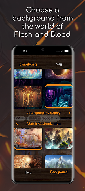 Flesh and Blood Counter Screenshot 3