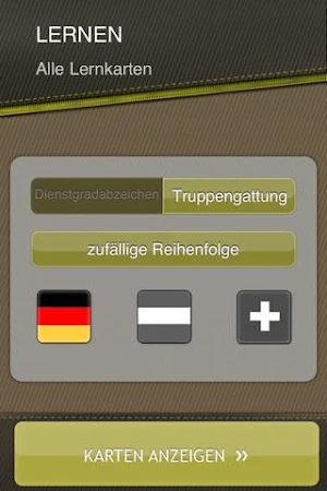 Dienstgradabzeichen Screenshot 2