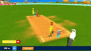 Indian Premier Beach Cricket L Screenshot 0