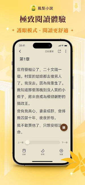 鳳梨小說 Screenshot 1