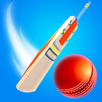 Perfect Cricket Game