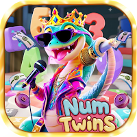 Num Twins