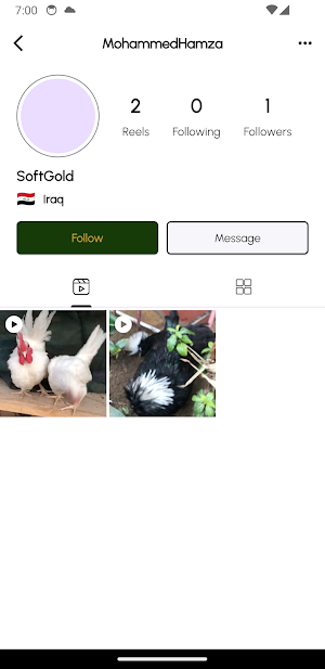 GoldenEgg Screenshot 3