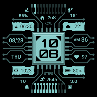 ZKin Watch Technology Chip