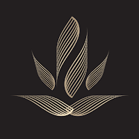 Revive Modern Wellness