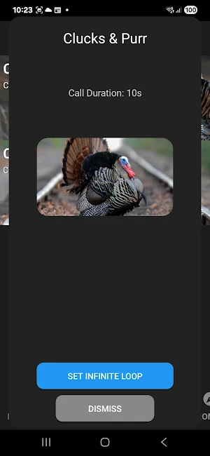 Turkey Calls Screenshot 1