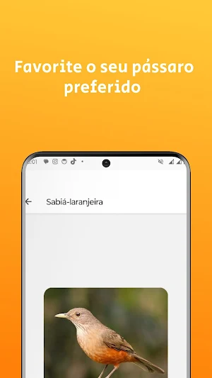 Cantos de pássaros brasileiros Screenshot 3