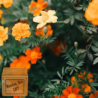 buttercup wallpaper