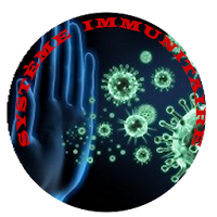 Immune system