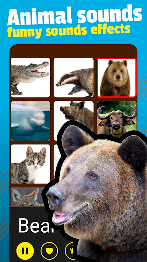 Animal Sounds Screenshot 0