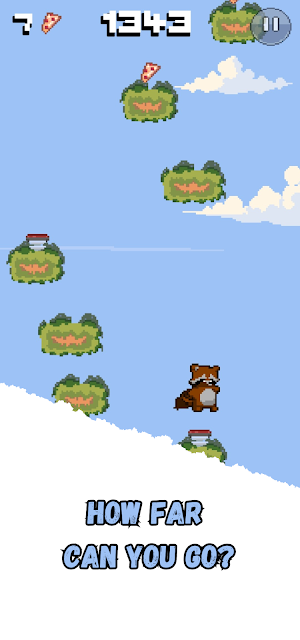 Raccoon Jump Screenshot 3