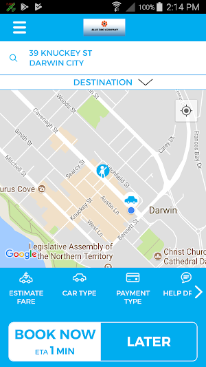 Blue Taxi Screenshot 0