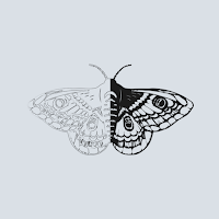 Metamorphosis Fitness