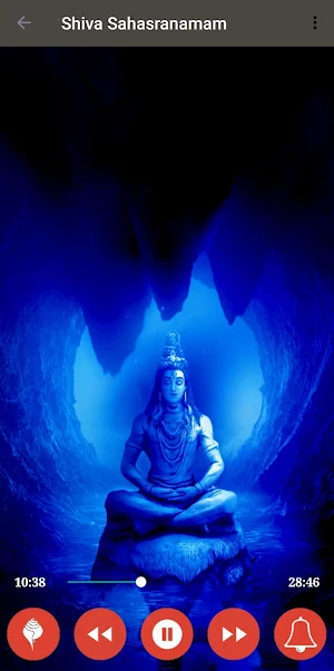 Shiva Sahasranam Stotram Screenshot 2