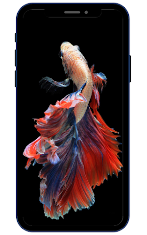 Goldfish Wallpapers Screenshot 2