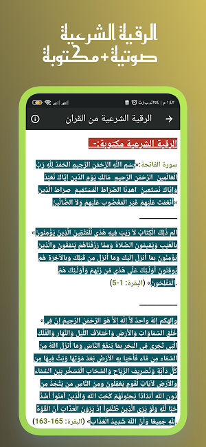 القران احمد طالب حميد بدون نت Screenshot 3