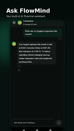 IntelliFlow: Budget Tracker Screenshot 3