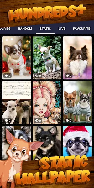 chihuahua wallpaper Screenshot 3