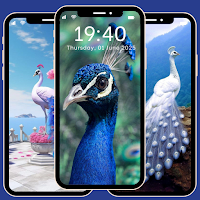 Beautiful Peacock Wallpaper 4K