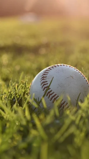 Baseball Wallpaper Screenshot 2