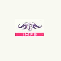 ILE-OLUJI MFB